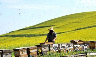 数控养蜂法 数控养蜂法杨多福视频
