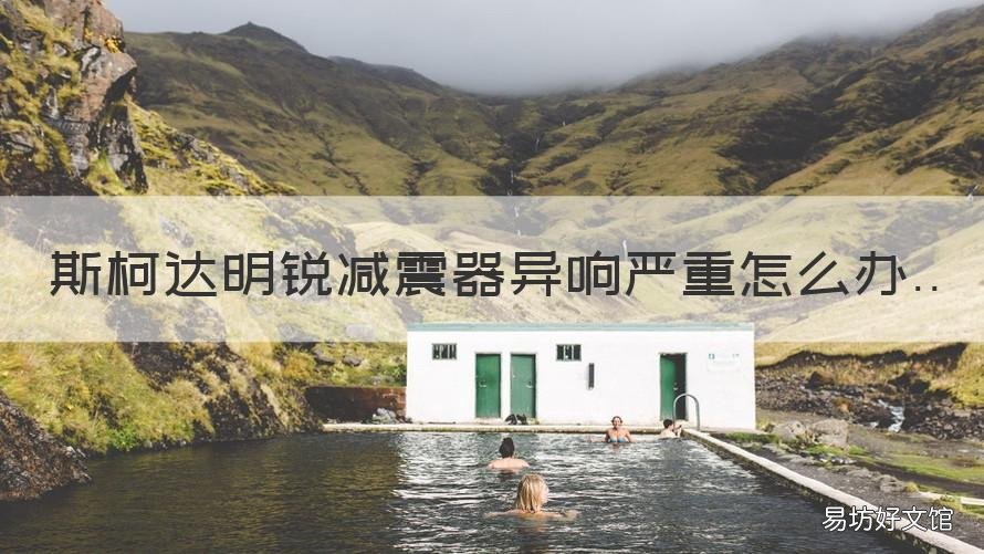 斯柯达明锐减震器异响严重怎么办 斯柯达昕锐减震器异响