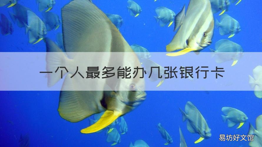 一个人最多能办几张银行卡 一个人最多办几张银行卡之后就办不了银行卡了