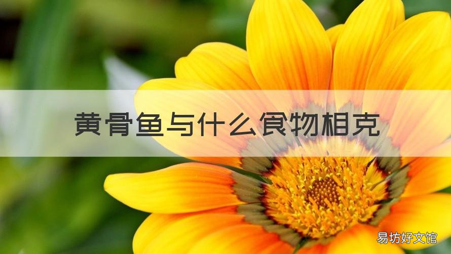 黄骨鱼与什么食物相克 黄骨鱼与什么食物相克不能吃