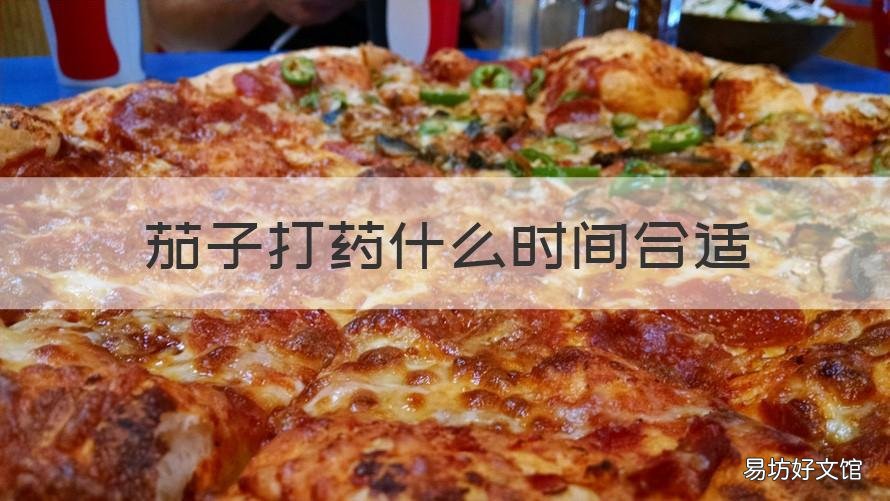 茄子打药什么时间合适 茄子打药什么时间合适呢