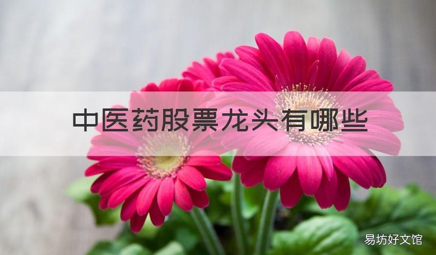 中医药股票龙头有哪些 中医药股票龙头有哪些公司