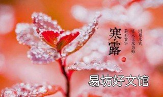 寒露节气祝福语 寒露节气祝福语图片