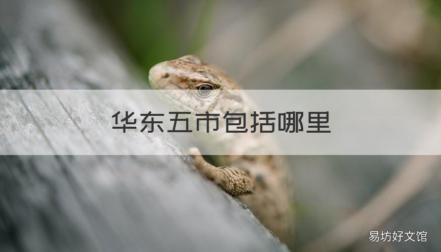 华东五市包括哪里 华东五市是哪几个?