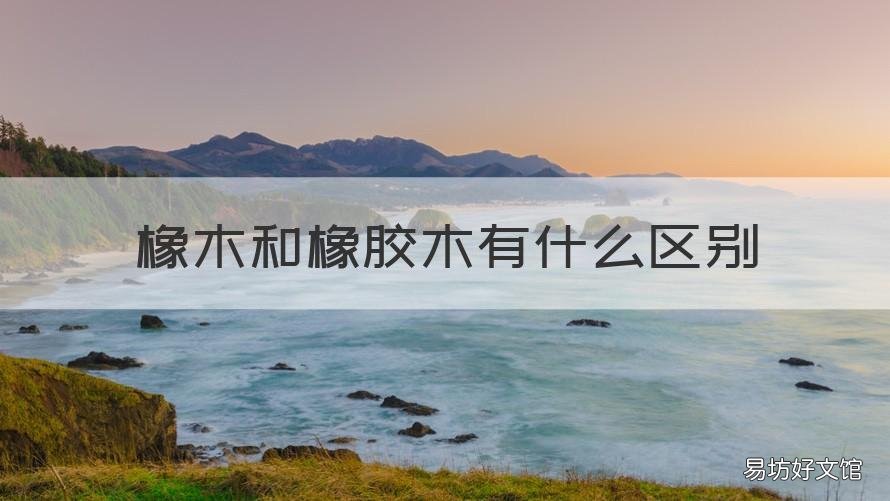橡木和橡胶木有什么区别 橡胶木的区别