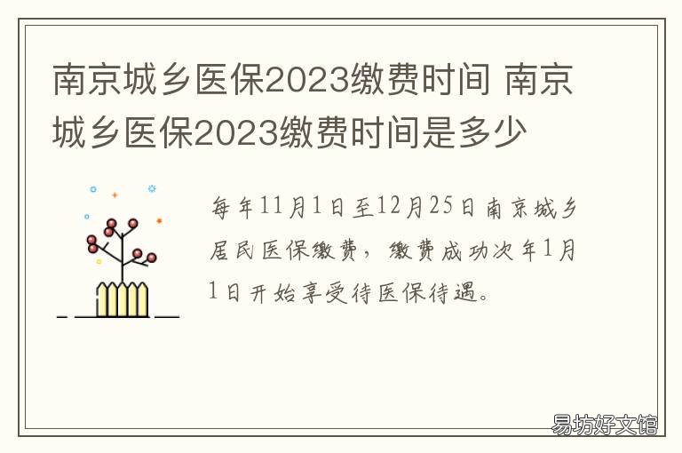 南京城乡医保2023缴费时间 2022年南京城乡医保缴费时间