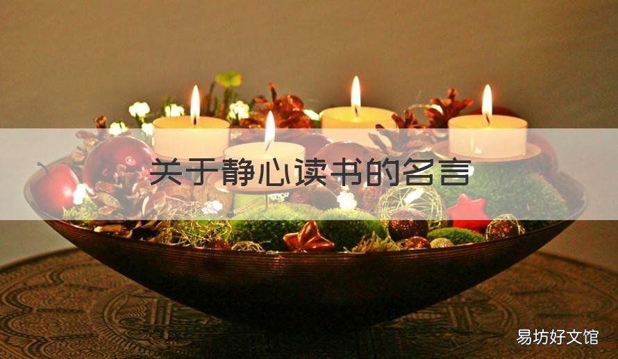 关于静心读书的名言 关于静心读书的名言佳句