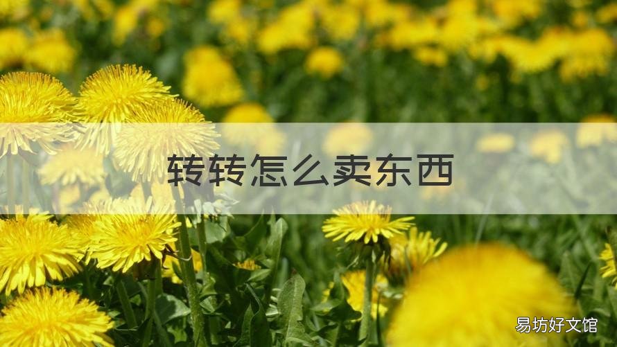 转转怎么卖东西 转转怎么卖东西哪家快递来取货