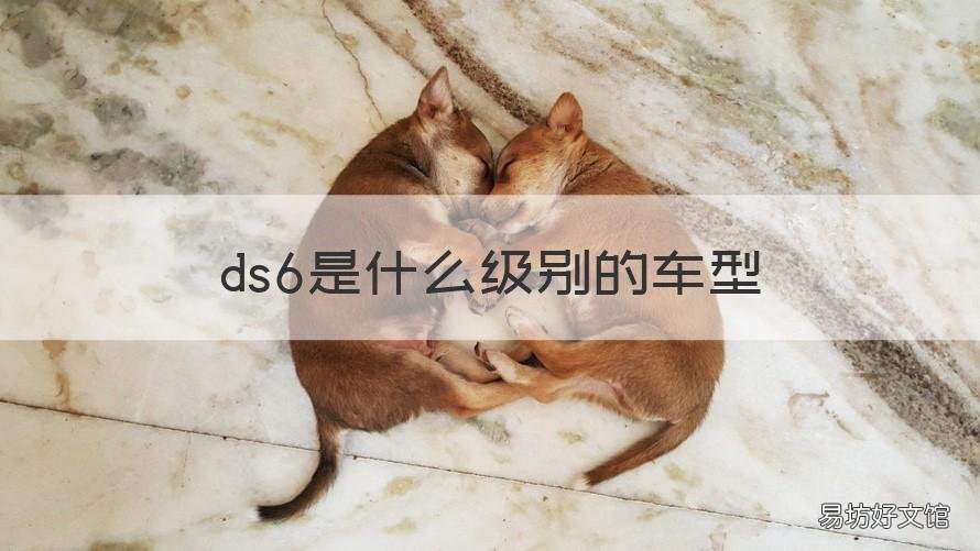 ds6是什么级别的车型 ds6是suv吗