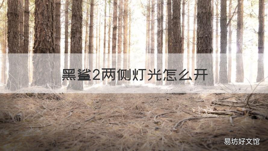黑鲨2两侧灯光怎么开 黑鲨2灯光怎么设置