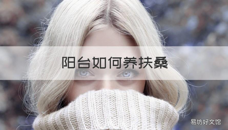 陽臺如何養(yǎng)扶桑 怎樣養(yǎng)扶桑