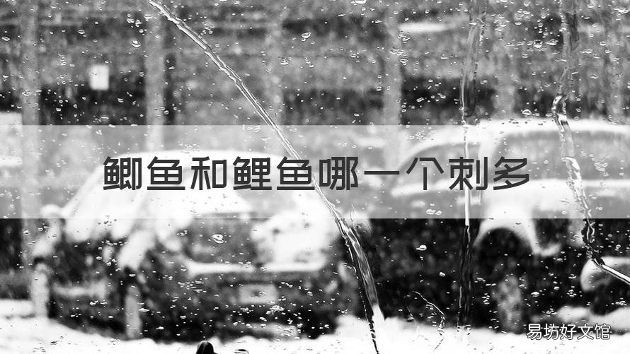 鲫鱼和鲤鱼哪一个刺多 鲫鱼跟鲤鱼哪个刺多