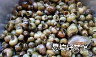 梦见田螺 梦见田螺和鱼是什么意思