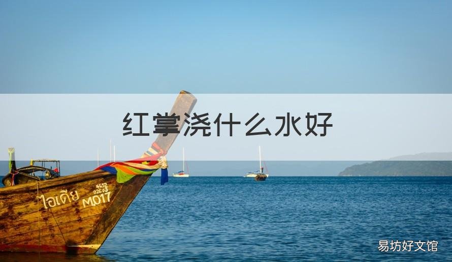红掌浇什么水好 红掌浇什么水最好