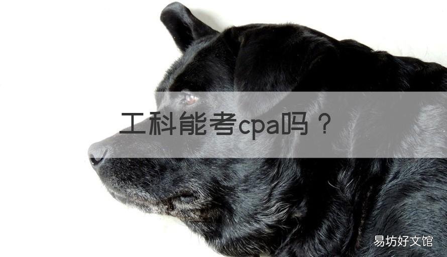 工科能考cpa吗 工科考CPA