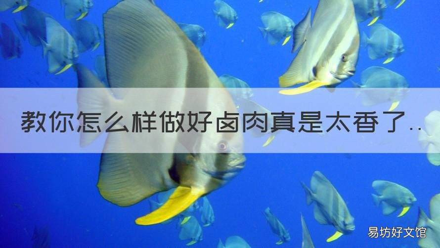 教你怎么样做好卤肉真是太香了 怎样卤肉好吃家常做法窍门