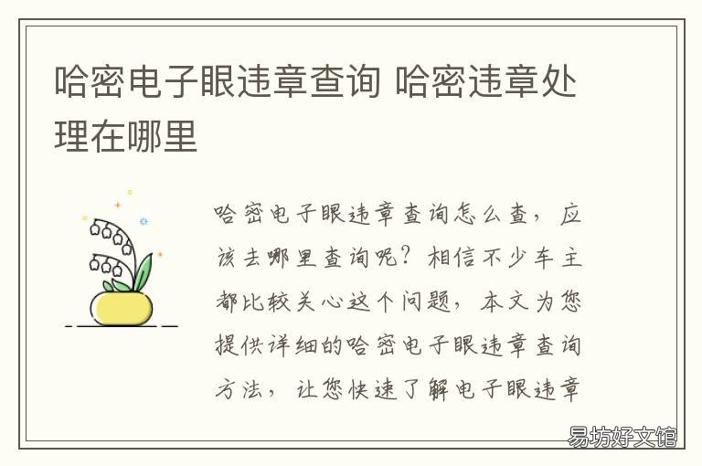 哈密电子眼违章查询 哈密违章查询系统