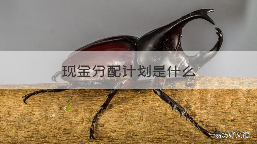 现金分配计划是什么 什么样的公司分配现金