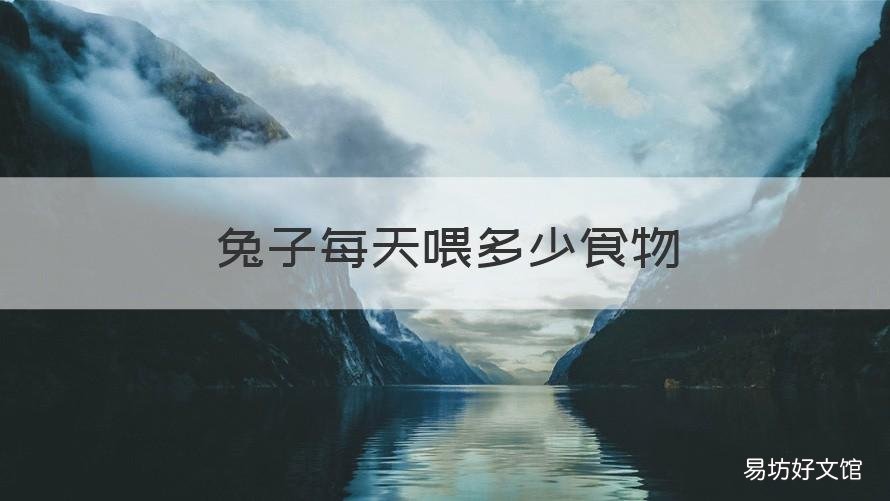 兔子每天喂多少食物 兔子每天喂多少食物长的快