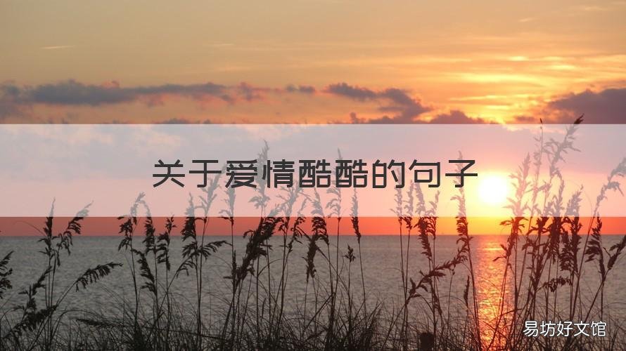 关于爱情酷酷的句子 关于爱情酷酷的句子唯美