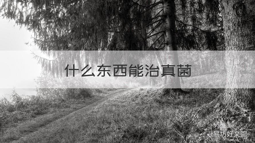 什么东西能治真菌 什么东西能治真菌感染