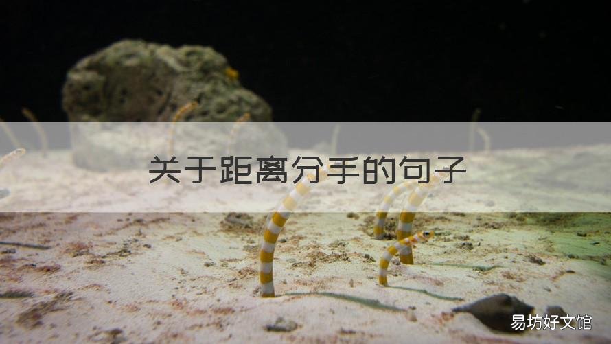 关于距离分手的句子 分手离别话语