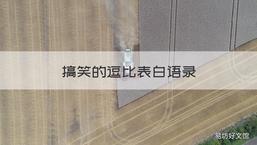 搞笑的逗比表白语录 逗比搞笑的表白句子