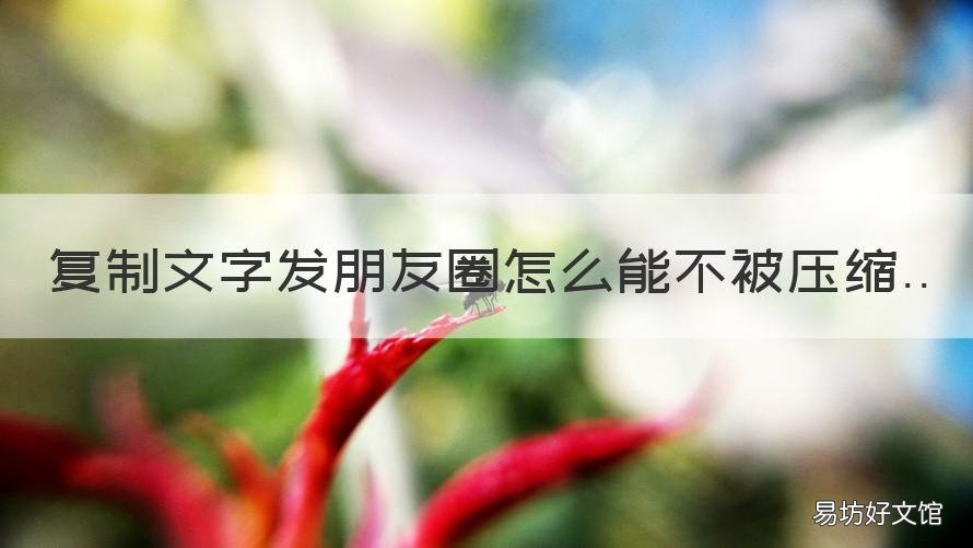 复制文字发朋友圈怎么能不被压缩 复制文字发朋友圈怎么能不被看到
