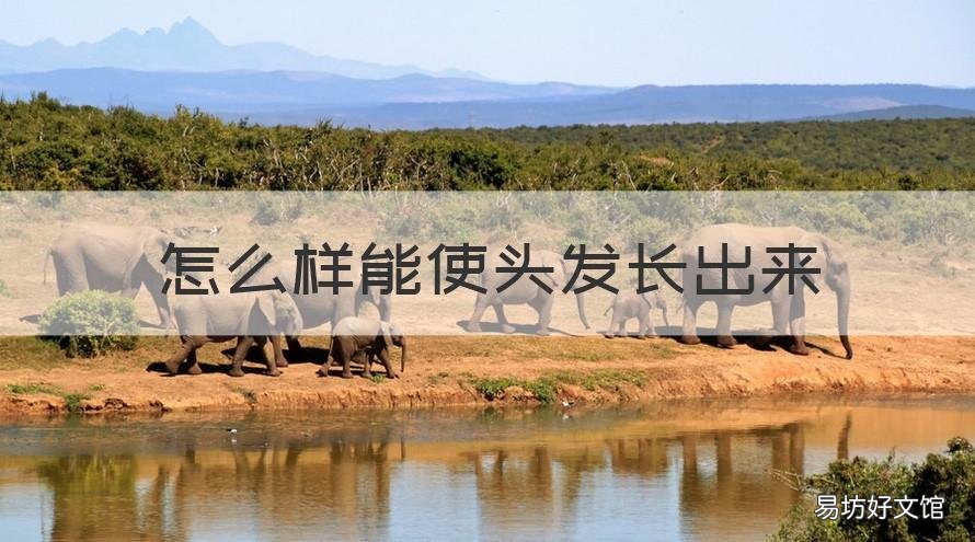 怎么样能使头发长出来 怎样让头发长出来