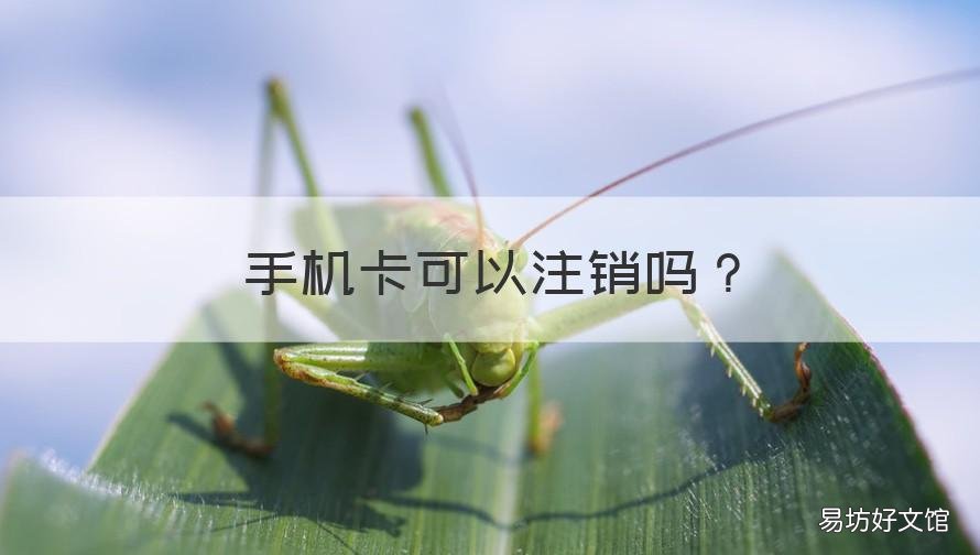 手机卡可以注销吗 有套餐的手机卡可以注销吗