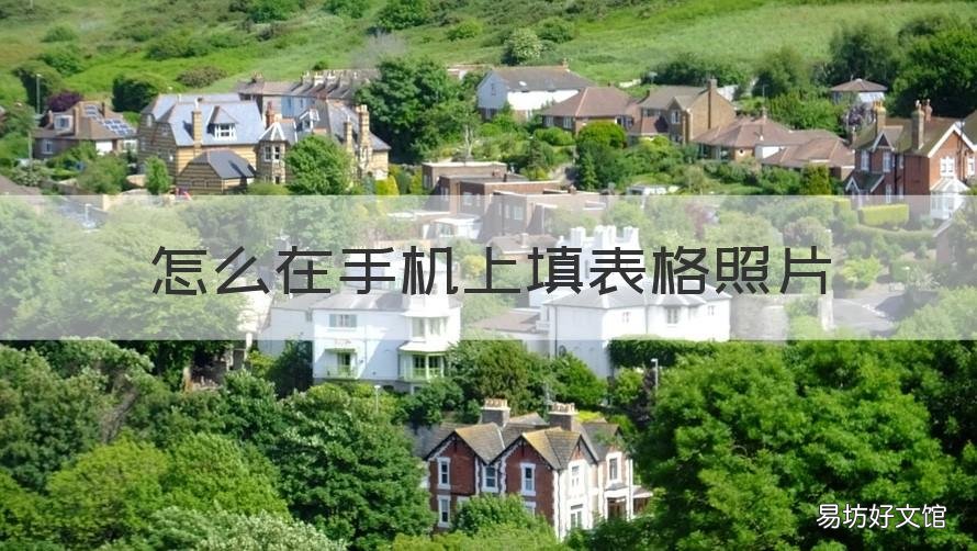 怎么在手机上填表格照片 手机上填表格怎样上传照片