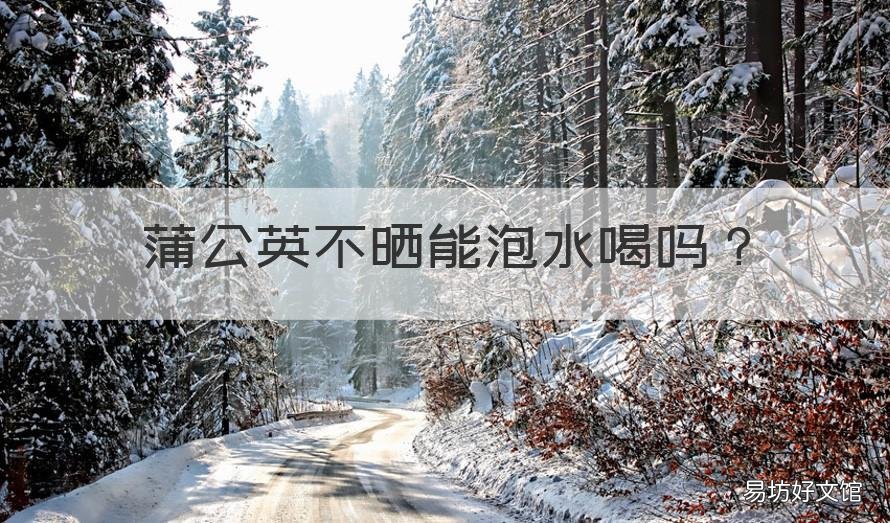 蒲公英不晒能泡水喝吗 蒲公英不晒能泡水喝吗百度百科