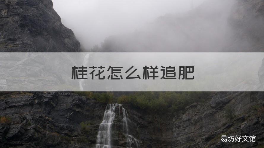 桂花怎么样追肥 桂花施什么肥最好