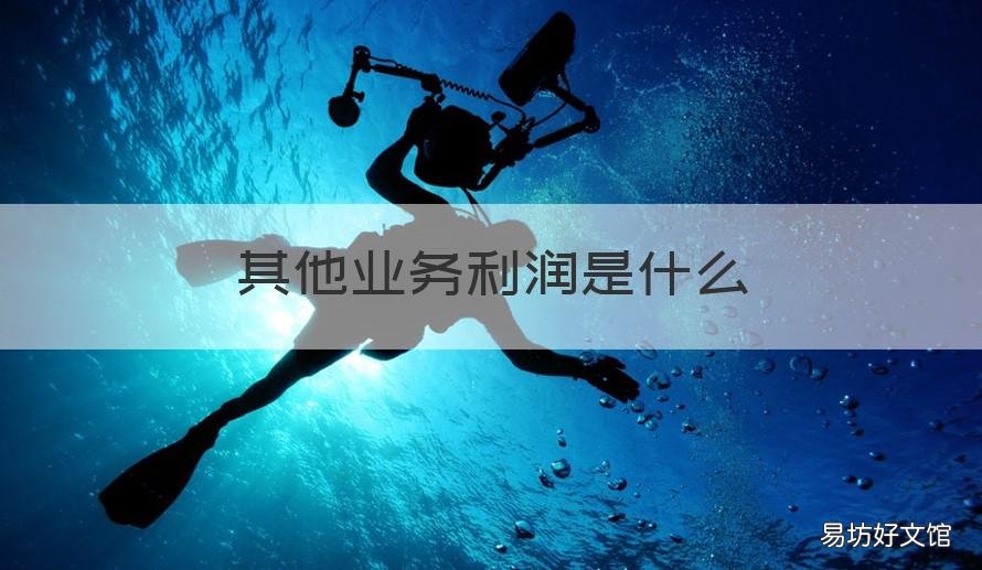其他业务利润是什么 其他业务利润是其他业务收入吗