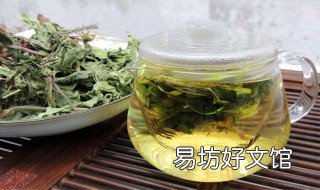 蒲公英红茶的泡法 蒲公英茶叶怎么泡