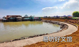 石楼海鸥岛公路几时扩建 海鸥公路什么时候扩建完成