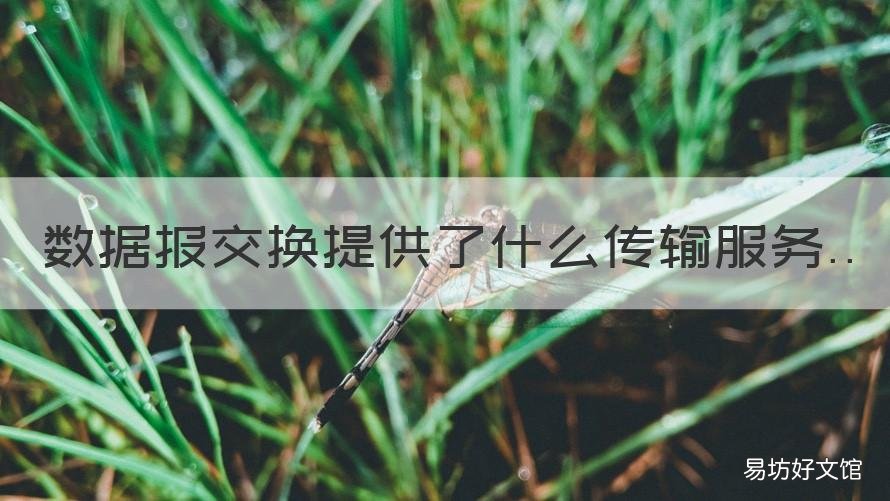 数据报交换提供了什么传输服务 数据报交换方式