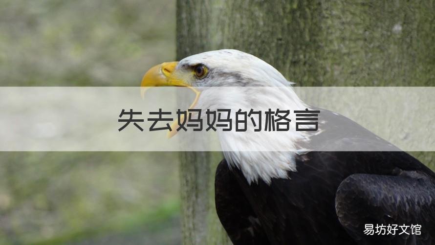 失去妈妈的格言 对失去妈妈的女儿说的话