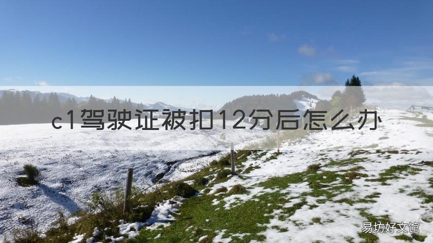 c1驾驶证被扣12分后怎么办 驾驶证被扣12分怎么办 c1
