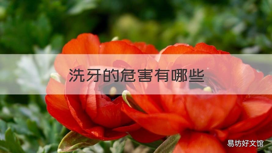 洗牙的危害有哪些 兒童洗牙的危害有哪些