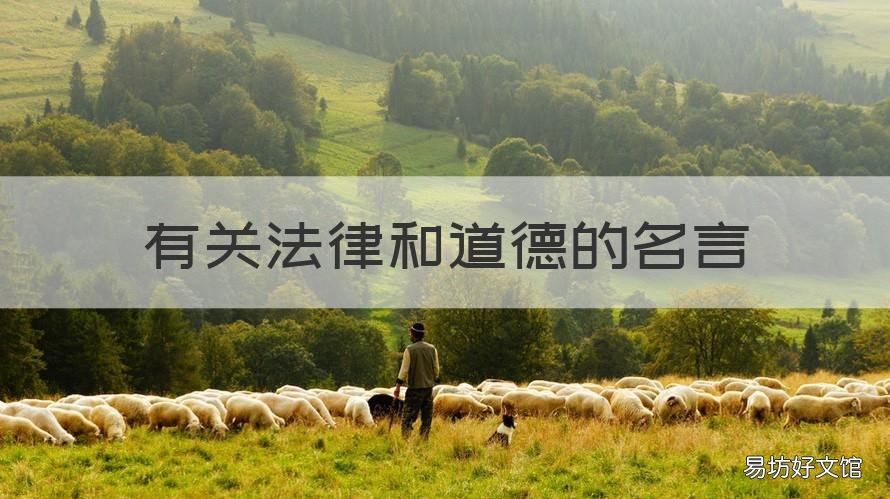 有关法律和道德的名言 关于法律和道德的名言