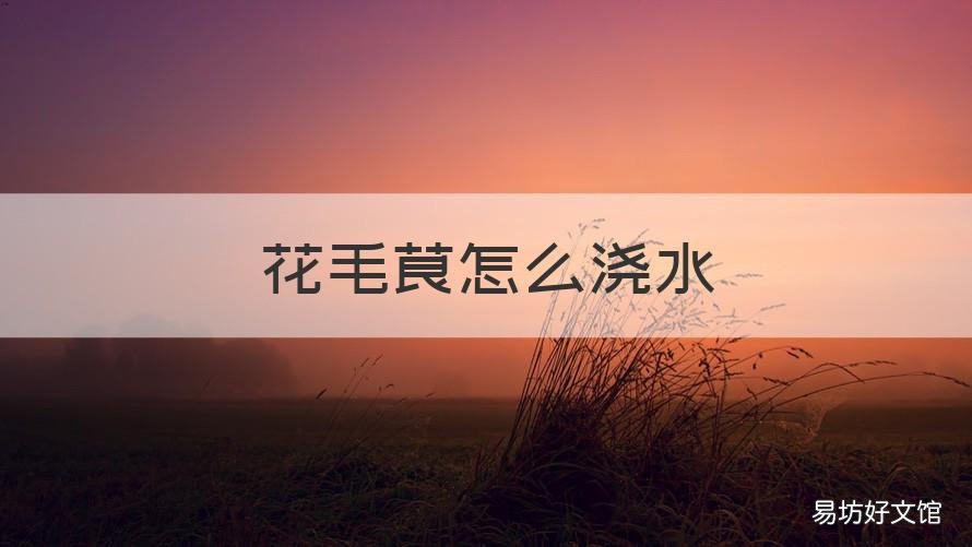 花毛茛怎么浇水 花毛茛浇水能浇到花上吗