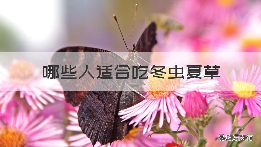 哪些人適合吃冬蟲夏草 什么樣人適合吃冬蟲夏草