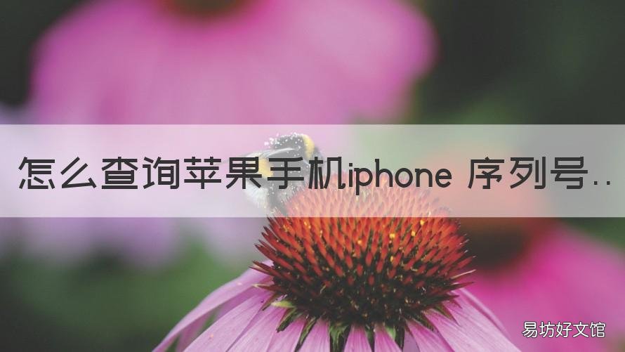 怎么查询苹果手机iphone 序列号 怎么查询苹果手机iphone 序列号真伪
