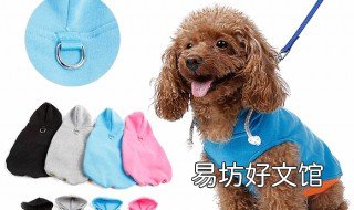 泰迪衣服制作图纸 泰迪衣服制作图纸 裁剪 缝制