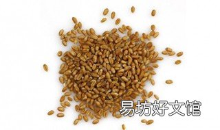 小麥自配拌種的方法 小麥拌種劑的制作方法