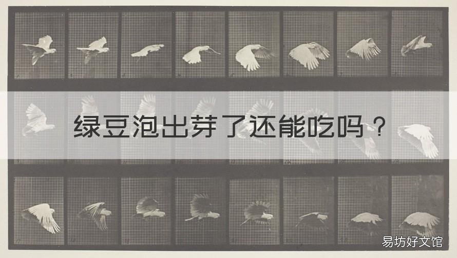 綠豆泡出芽了還能吃嗎 綠豆泡出芽了還能吃嗎?