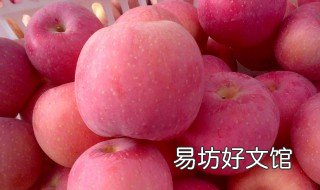 陜西蘋果收購價 現(xiàn)在蘋果收購價錢是多少
