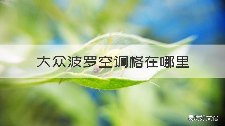 大众波罗空调格在哪里 大众波罗空调格在哪里图
