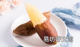 雪莲果的吃法及功效 雪莲果的功效食用方法